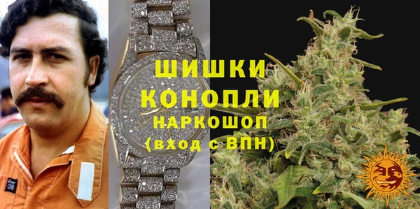 spice Верхний Тагил