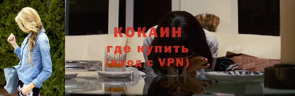 прущий лед Бородино