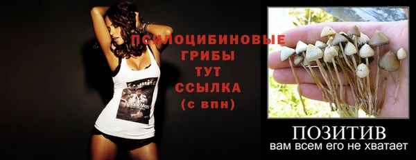 spice Верхний Тагил