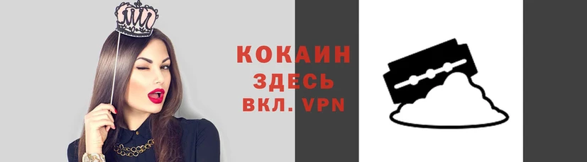 дмт Верея