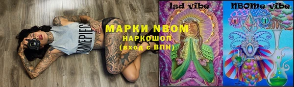 прущий лед Бородино
