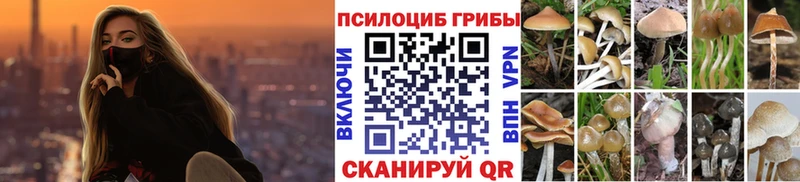 Псилоцибиновые грибы Psilocybine cubensis  Купить закладки  Майский 